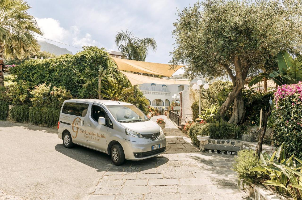 Hotel Galidon Wellness Park & Spa Forio di Ischia 外观 照片